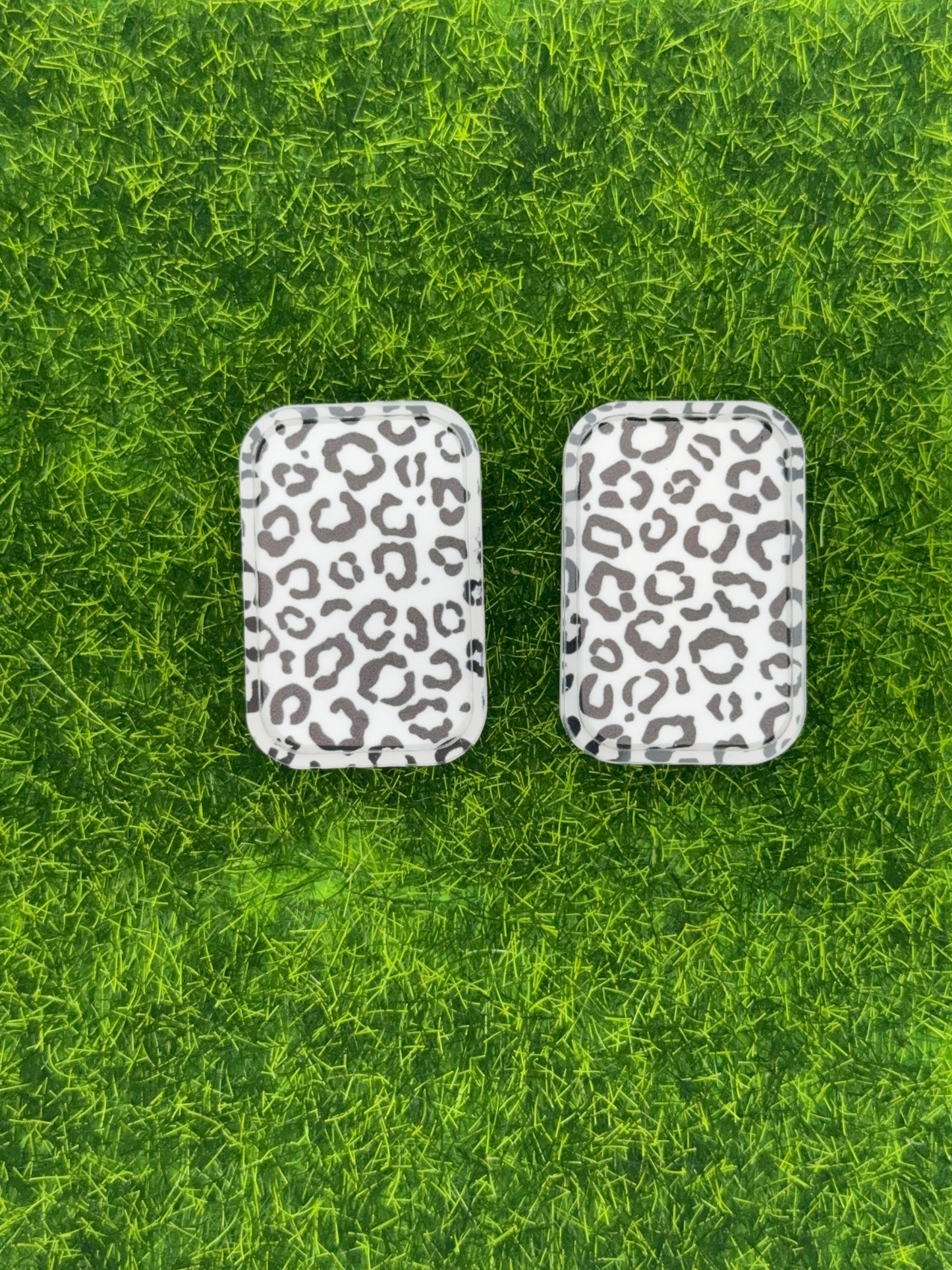 Black and white cheetah X-Ray markers