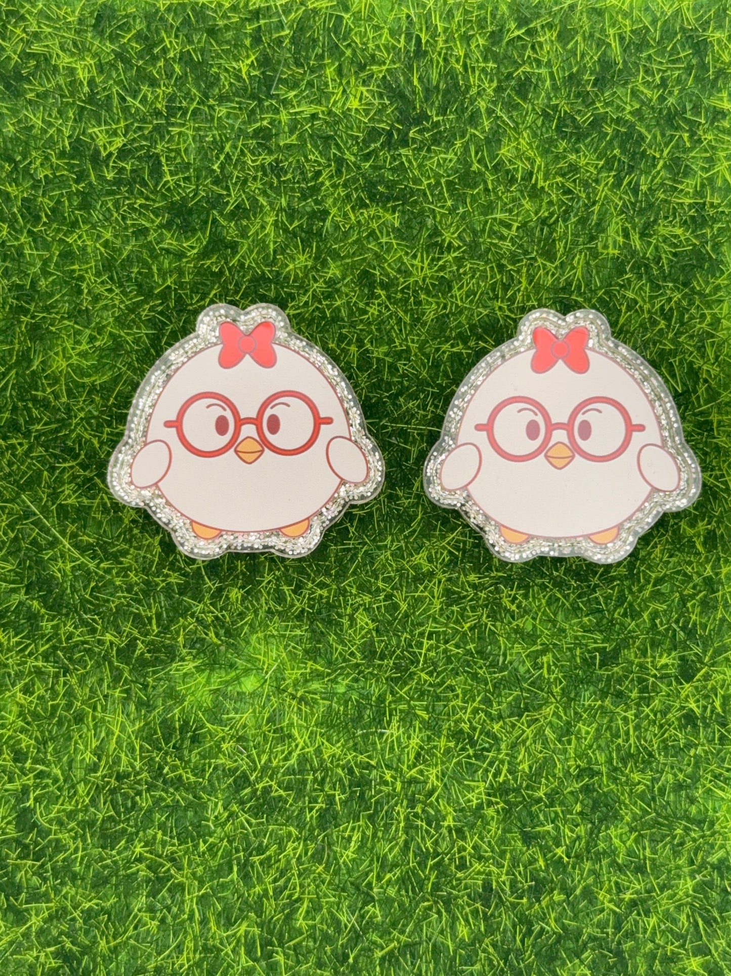 Chick X-Ray markers