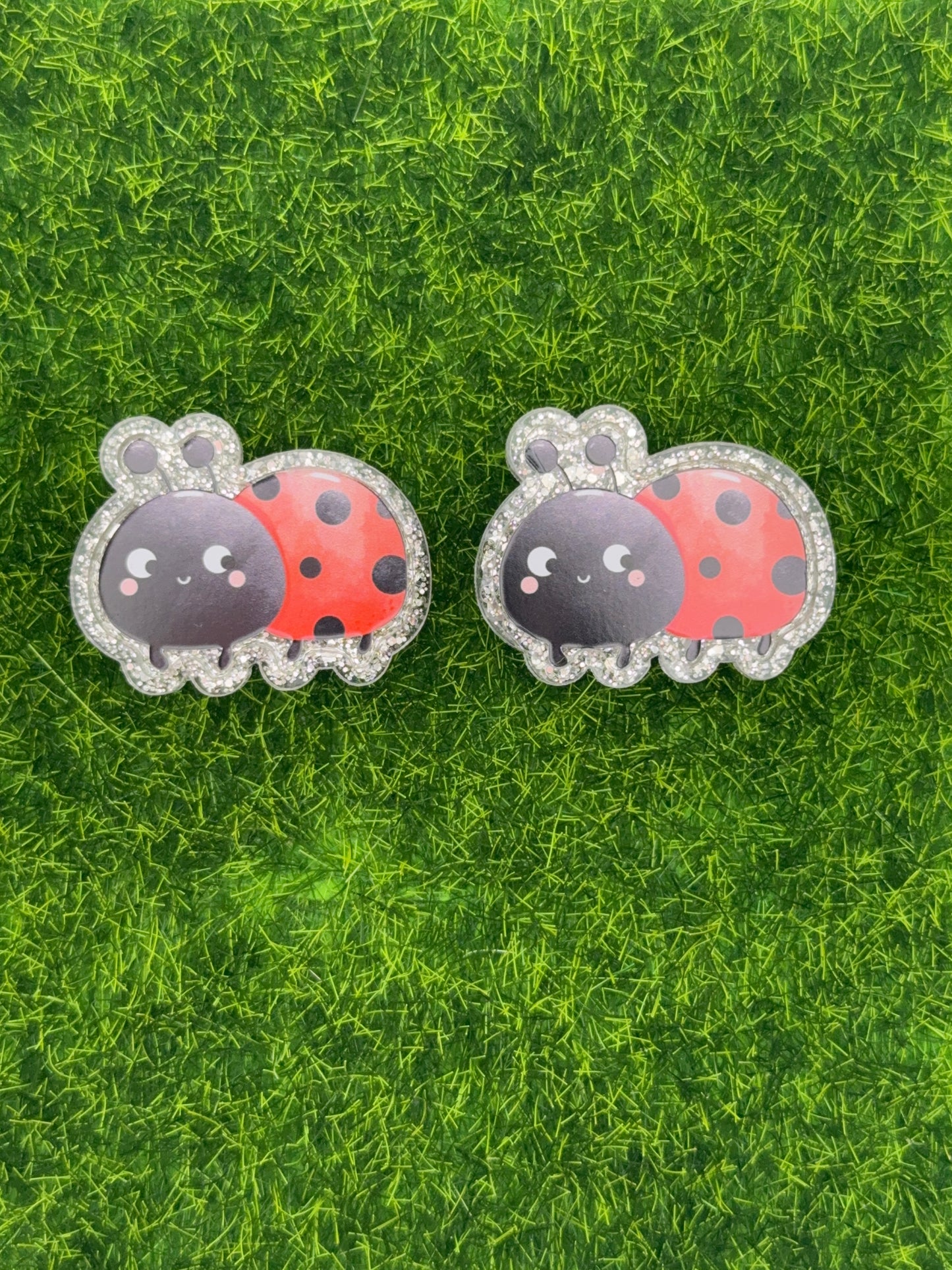 Lady bug X-Ray markers