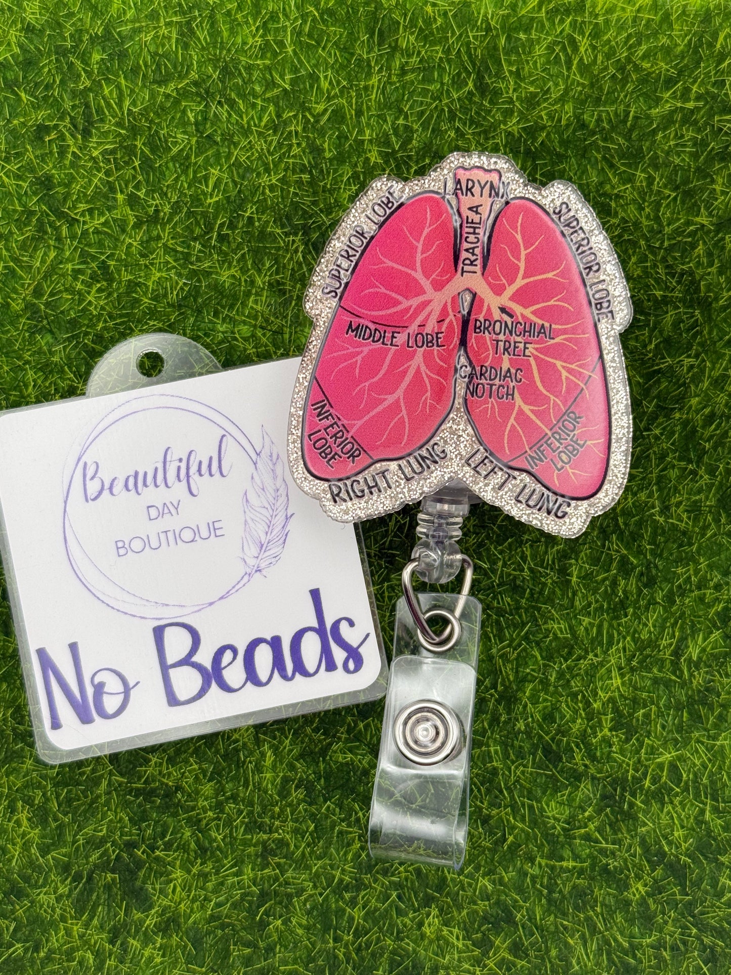 Lungs-labeled