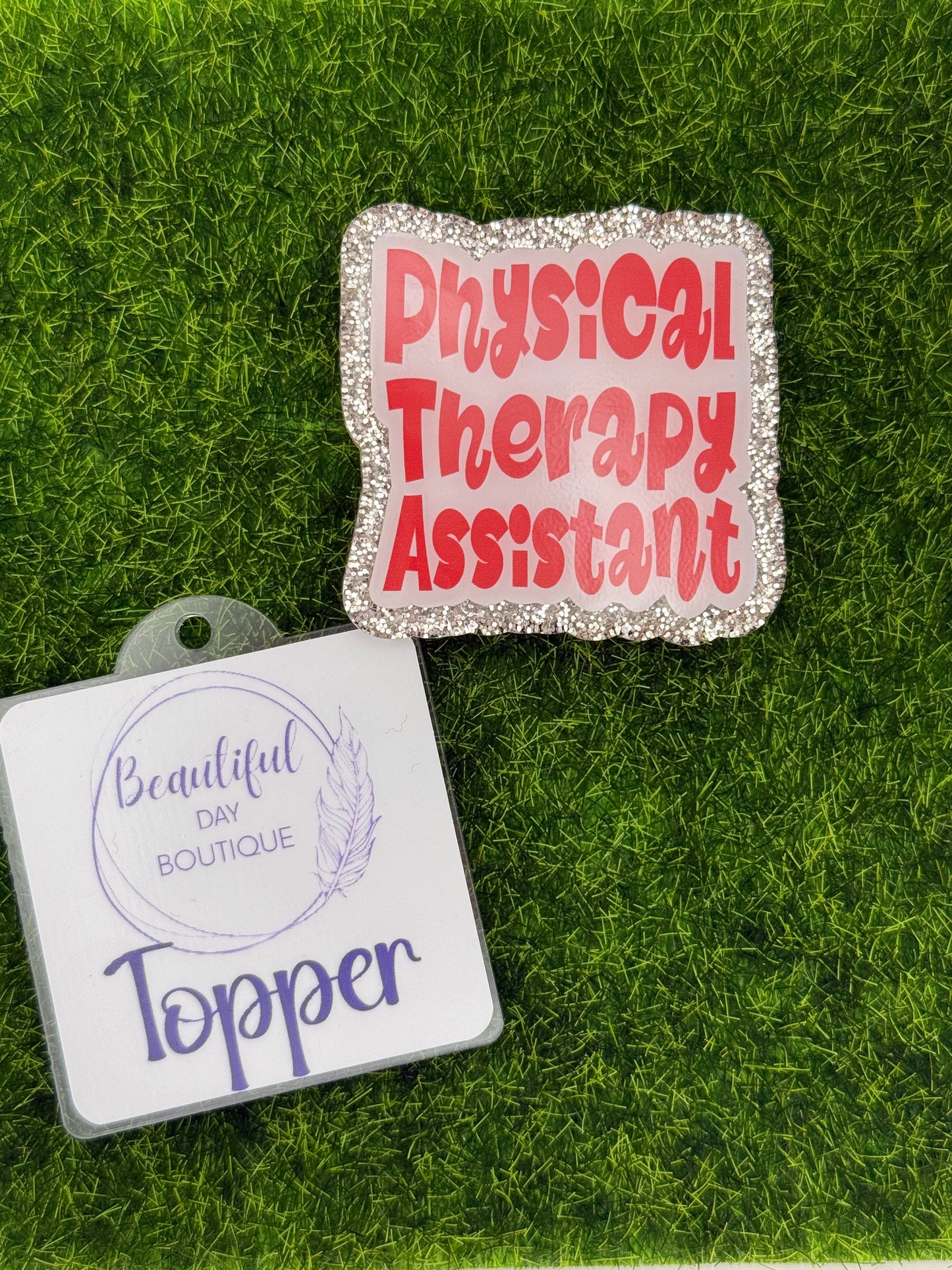 Physical therapy assistant