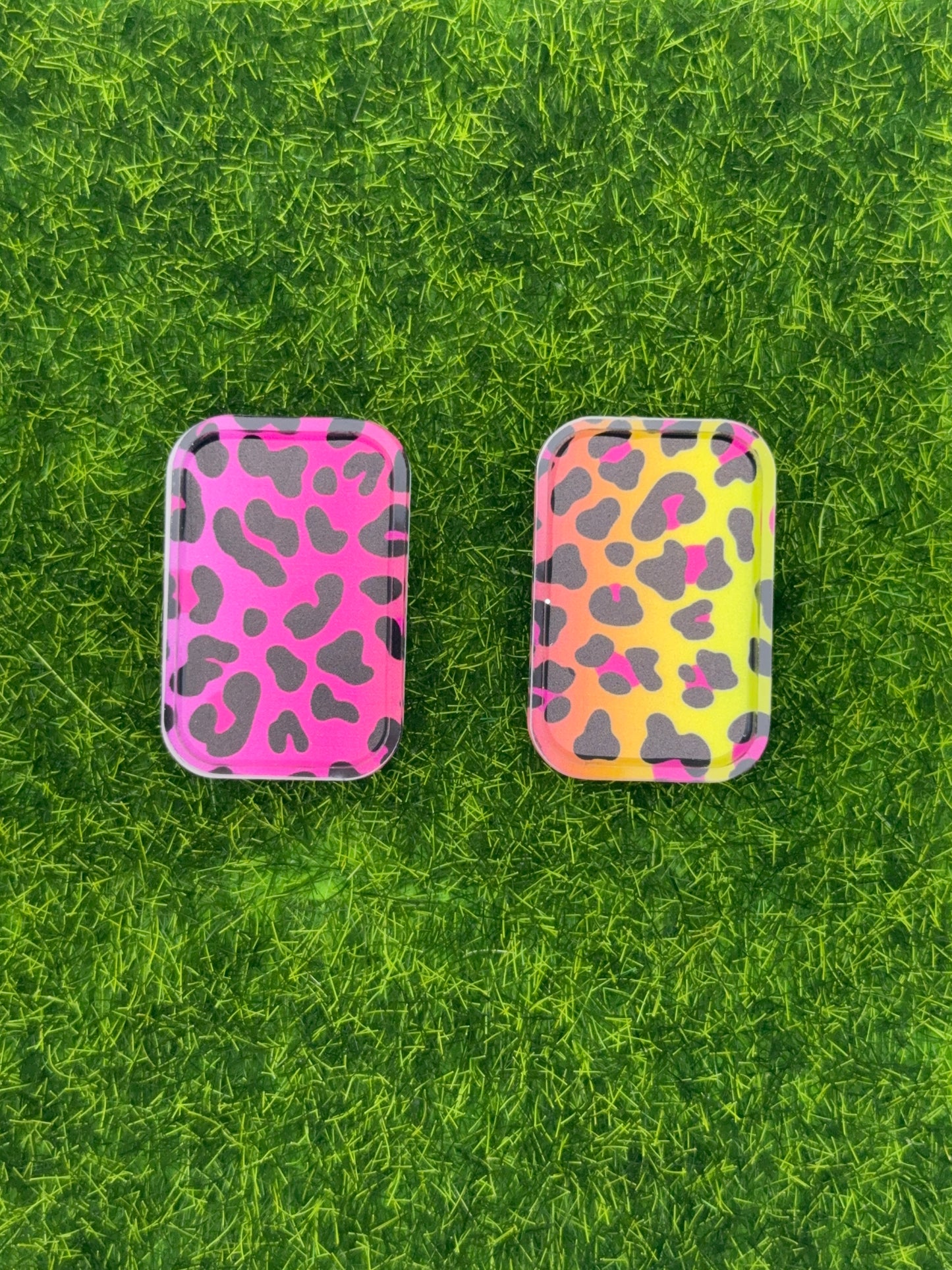 Rainbow cheetah X-Ray markers
