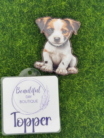 Jack Russell pup