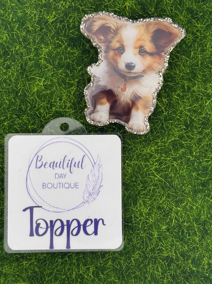 Shetland sheep dog pup