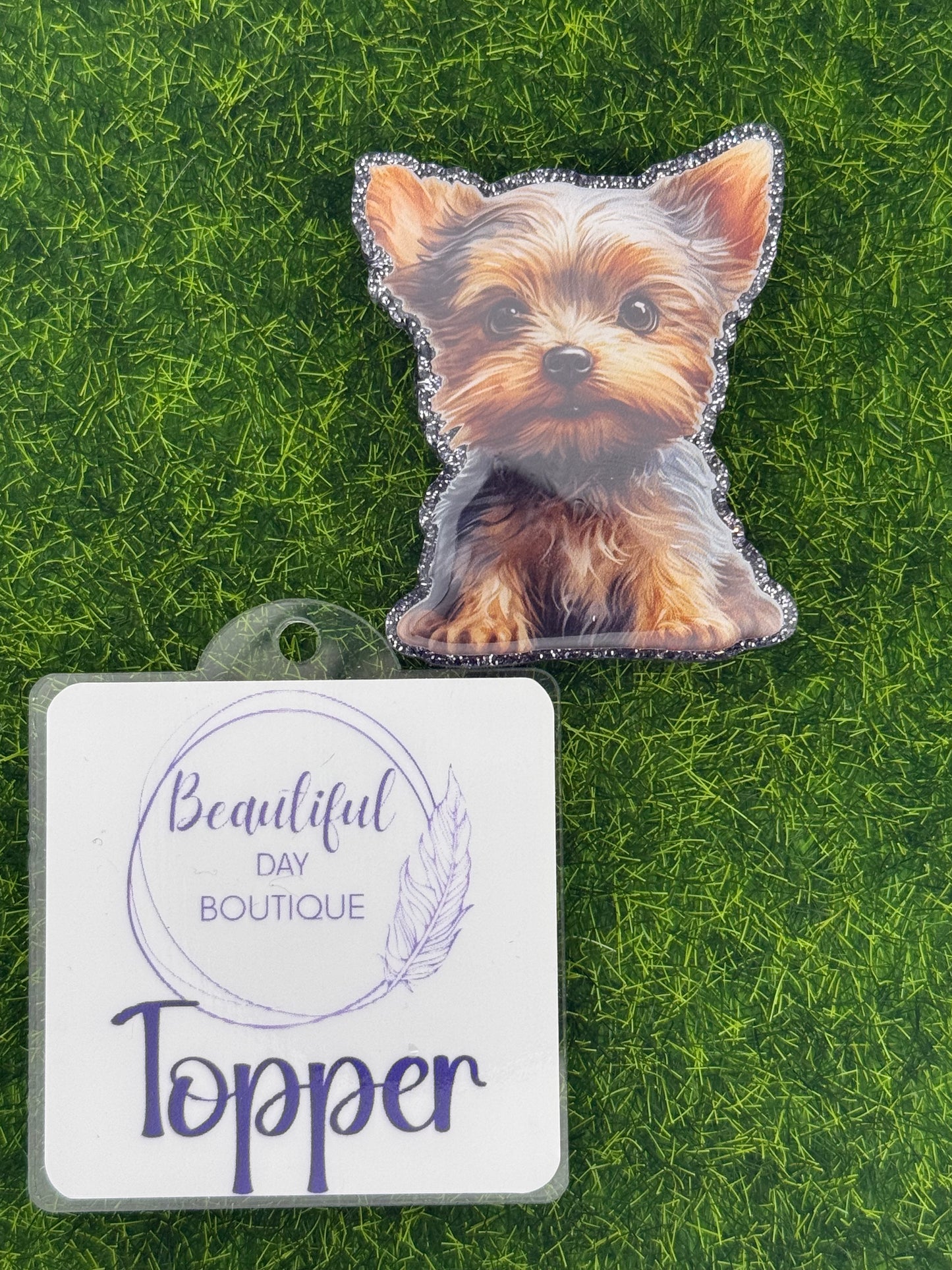 Yorkie pup