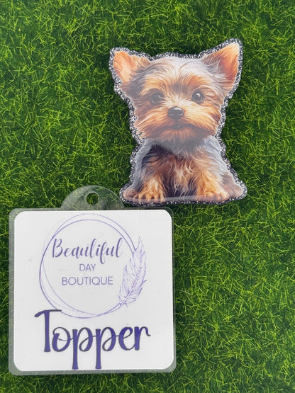 Yorkie pup