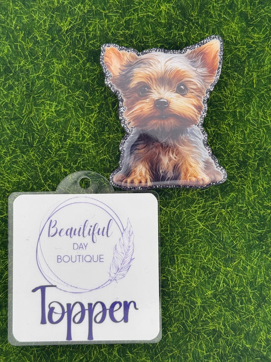 Yorkie pup