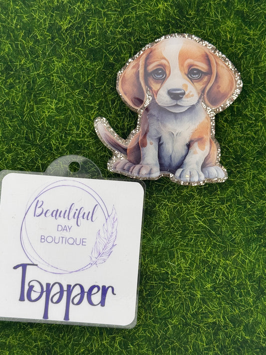 Beagle pup
