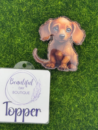 Dachshund pup
