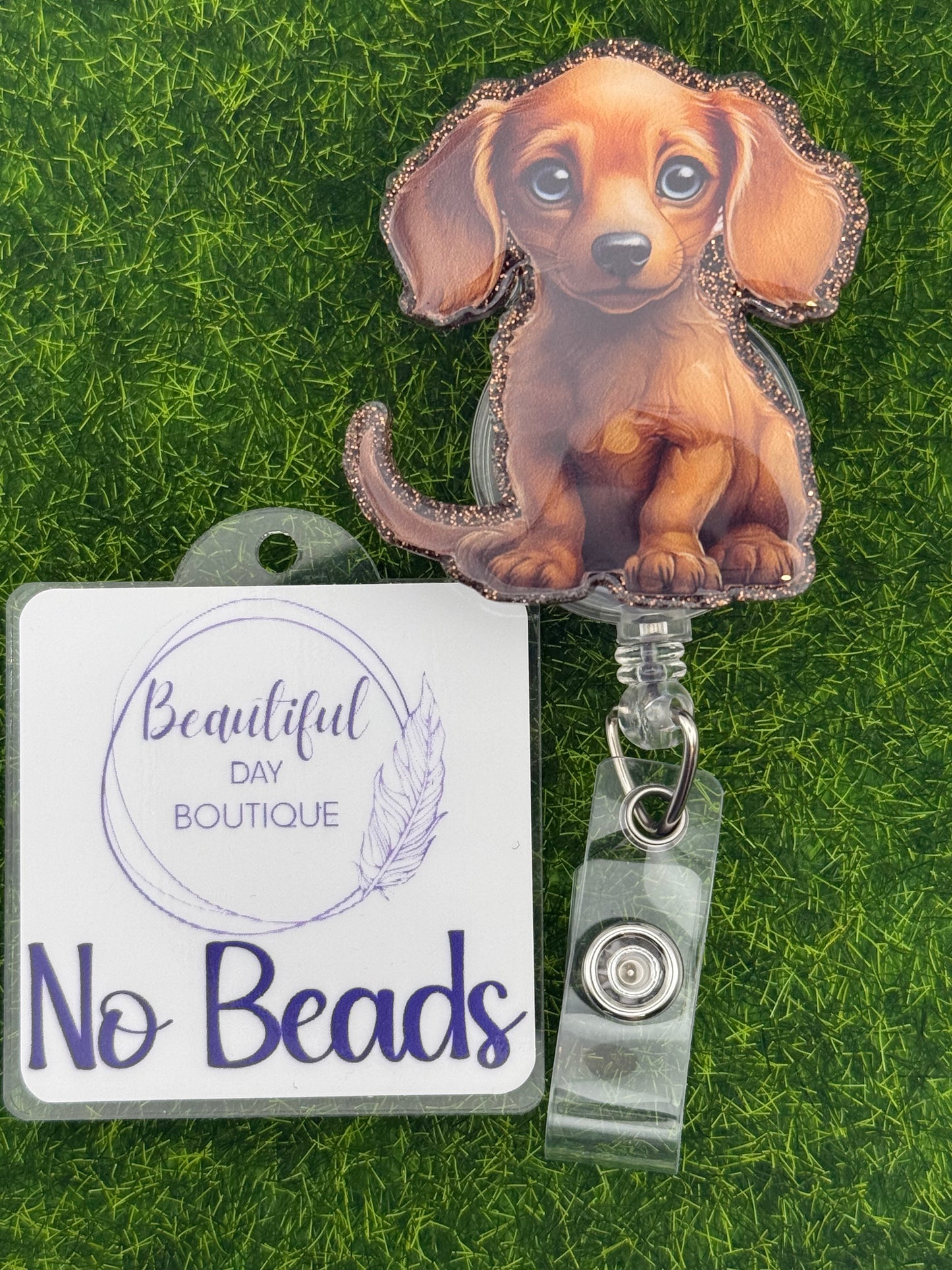 Dachshund pup