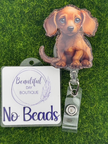 Dachshund pup