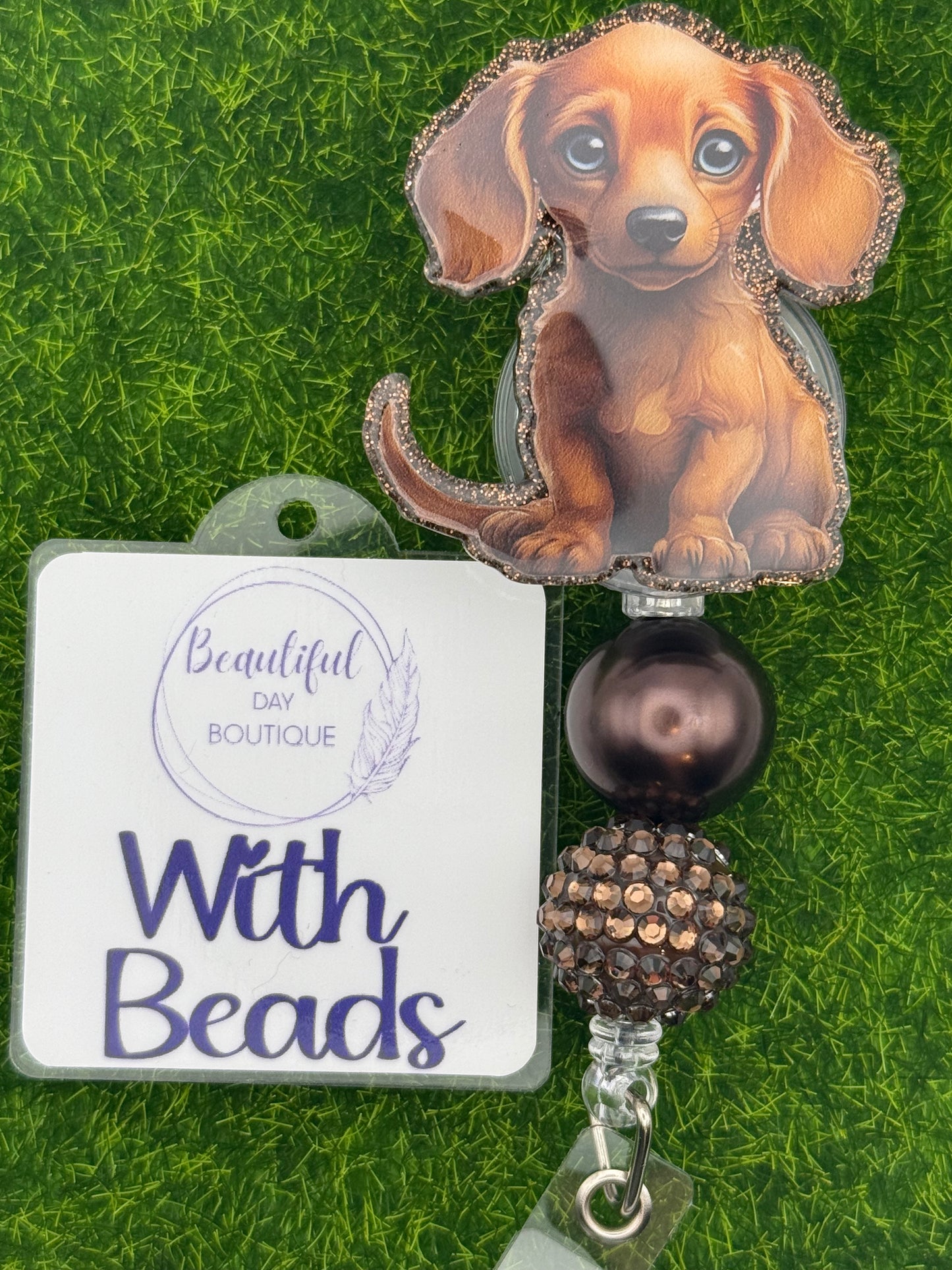 Dachshund pup