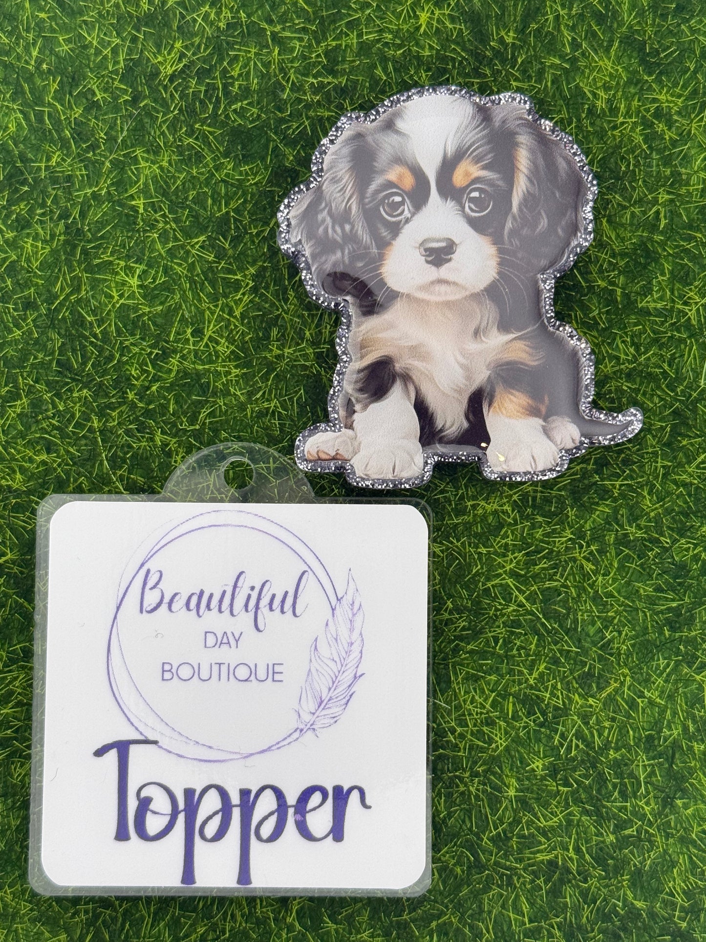 Tri color cavalier King Charles pup