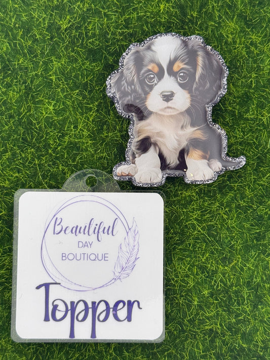 Tri color cavalier King Charles pup