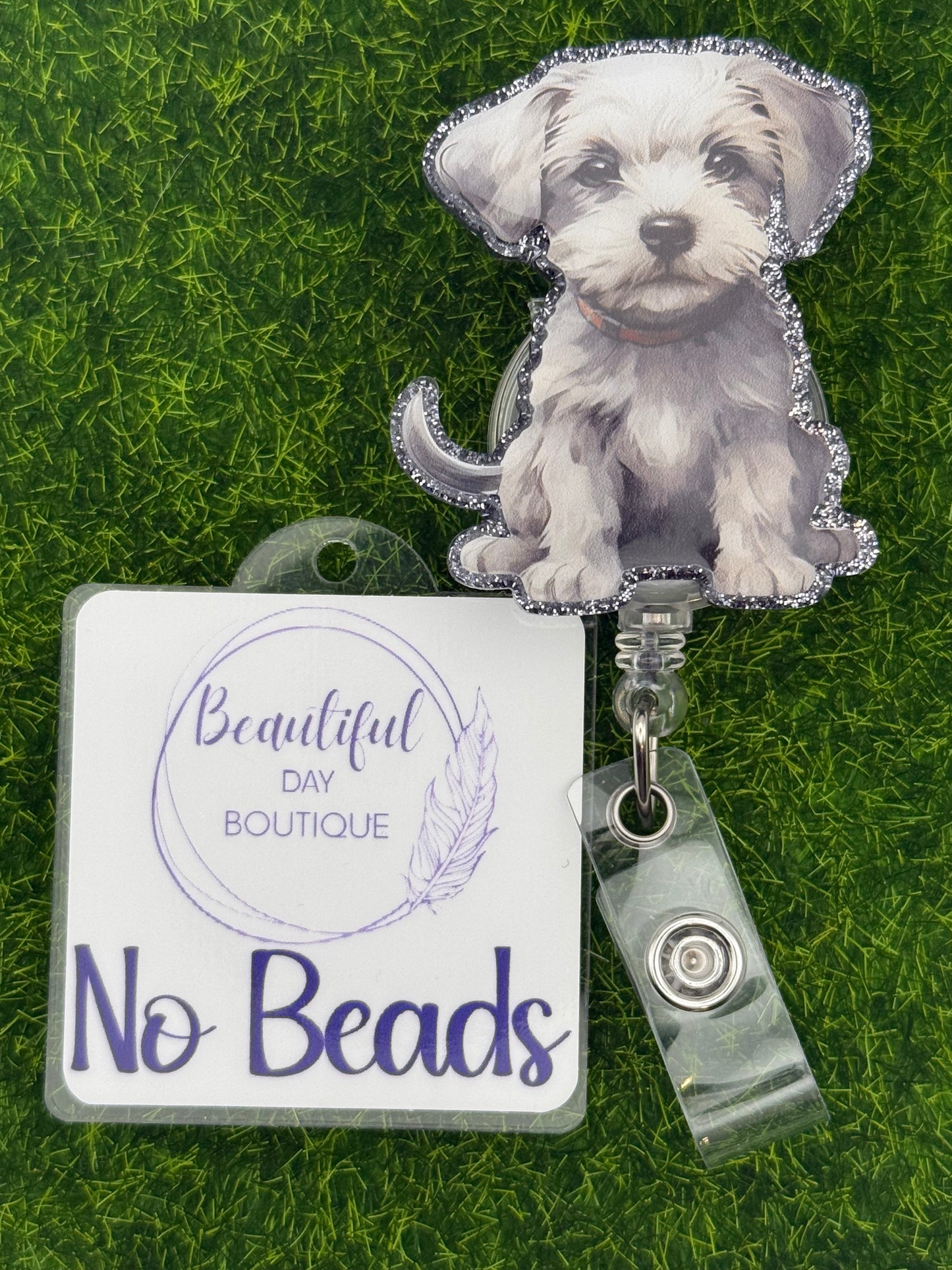 Dandie Dinmont terrier pup