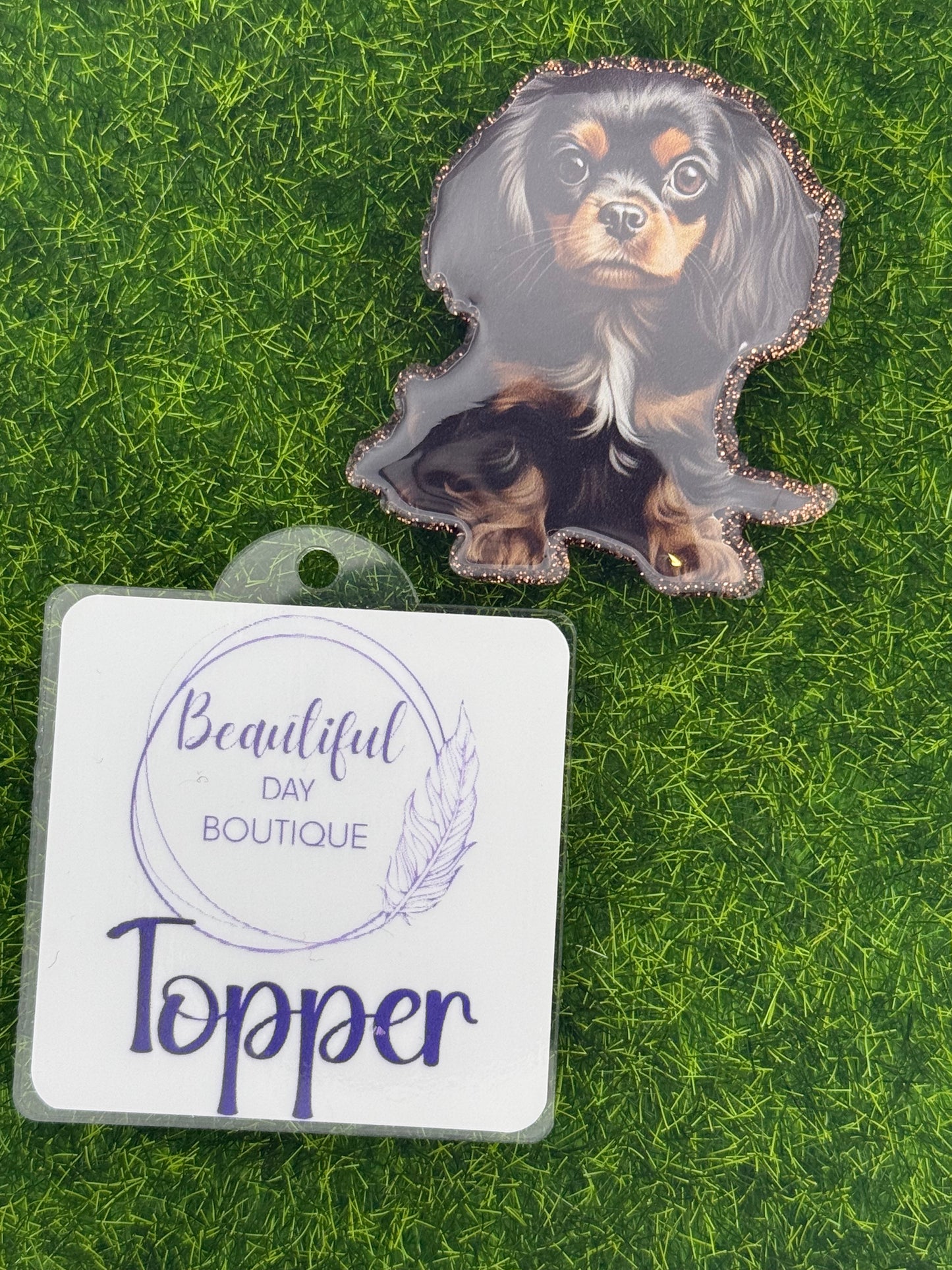 Black/tan cavalier King Charles pup