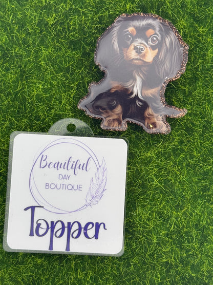 Black/tan cavalier King Charles pup