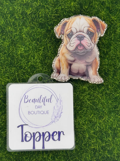 English bulldog pup