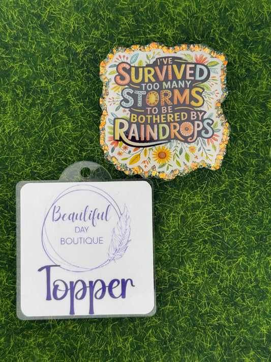 I’ve survived too many storms