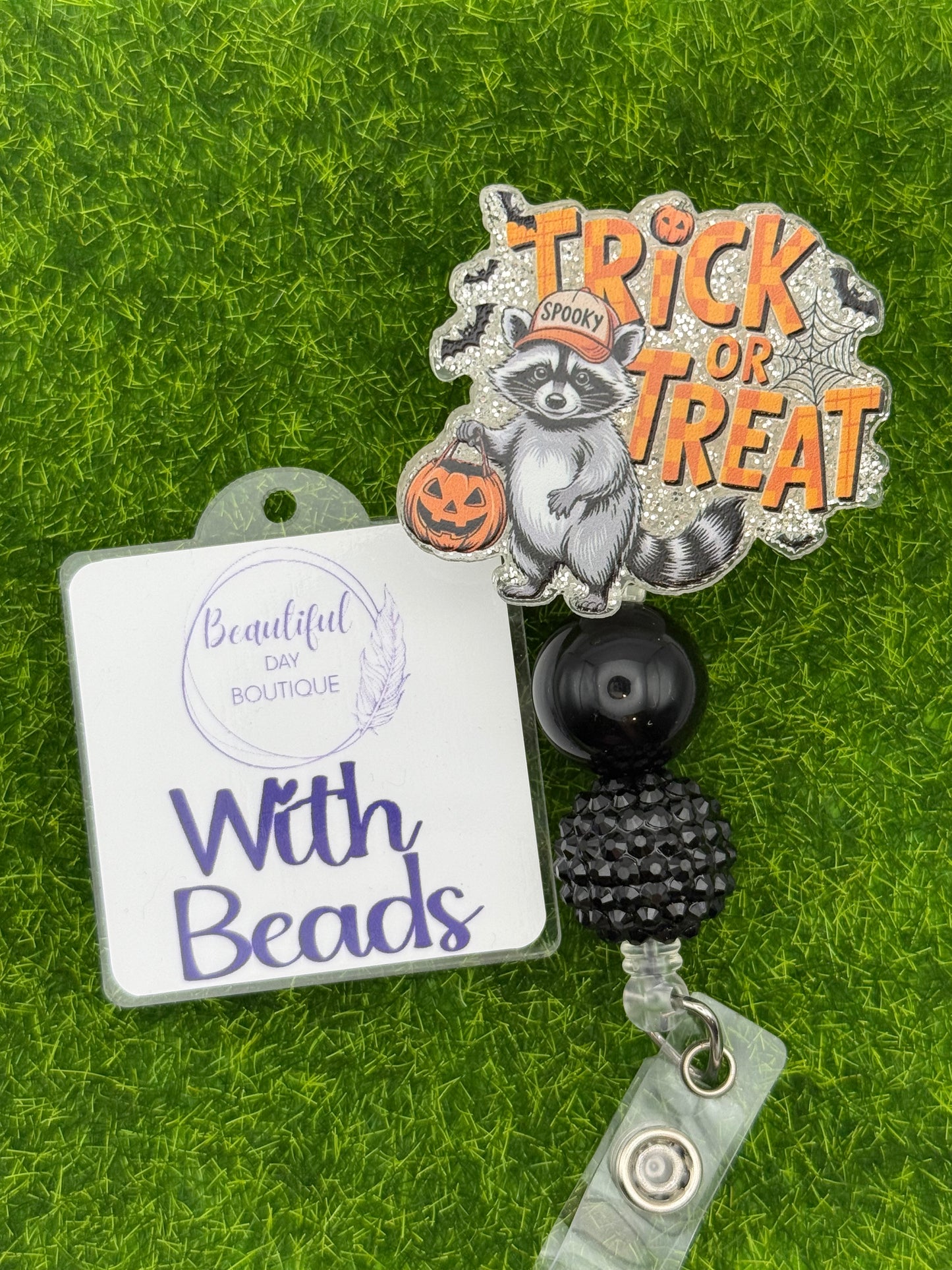 Trick or Treat Raccoon