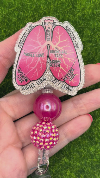 Lungs-labeled